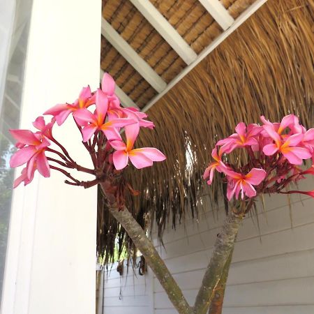 Love Coconut Bungalows Gili Trawangan Exteriér fotografie