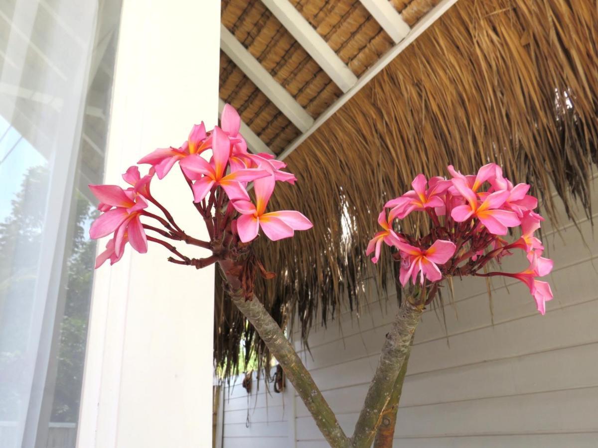 Love Coconut Bungalows Gili Trawangan Exteriér fotografie